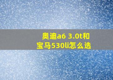 奥迪a6 3.0t和宝马530li怎么选